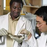 Mice are used for many research purposes at UW–Madison. These mice help scientists understand how obesity is triggered and regulated.